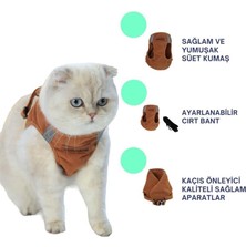 Ankaflex Kedi Göğüs Tasması Kedi Gezdirme Tasması Kediler Için