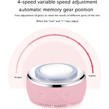 Fanxicm Ems Microcurrent LED Işık Terapisi Silikon Masaj Fırçası Pembe (Yurt Dışından)