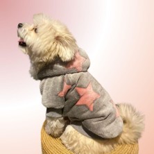 Alphadog Biggie Küçük Irk Köpek Pofuduk Sweatshirt