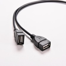 Fanxicm 1 Adet USB 2.0 A 1 Erkek 2 Çift USB Dişi Veri Merkezi Güç Kablosu Adaptörü Y Ayırıcı USB Şarj Güç Kablosu Kablosu Uzatma Kablosu (Yurt Dışından)