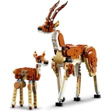 KTYRA52 31150 Lego® Creator 3 Ü1 Arada Vahşi Safari Hayvanları 780 Parça +9 Yaş