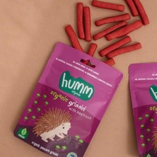 KTYRA52 Humm Organik Vegan Pancarlı Grissini 55 gr