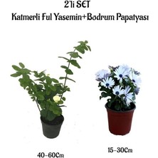 Serada Decor Plant Yoğun Kokulu Katmerli Ful Yasemini +Beyaz Bodrum Papatyası 2'li Peyzaj Seti