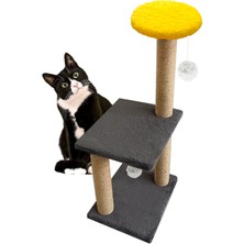 Patiderm Katlı Kedi Tırmalama Tahtası 80cm - Gri