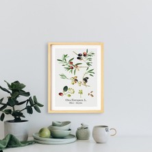 Ayışığı Dizayn Mutfak-Vintage Zeytin Doğal Ahşap Çerçeveli Tekli Tablo Seti