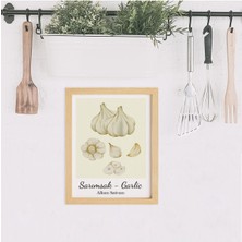 Ayışığı Dizayn Mutfak Garlic-Sarımsak Ahşap Çerçeveli Poster Tekli Dekor Duvar Tablo Seti