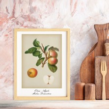 Ayışığı Dizayn Mutfak Vintage Fruits Elma-Apple Ahşap Çerçeveli Poster Tekli Dekor Duvar Tablo Seti