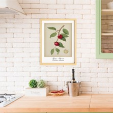 Ayışığı Dizayn Mutfak Vintage Fruits Kiraz-Cherry Ahşap Çerçeveli Poster Tekli Dekor Duvar Tablo Seti
