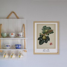 Ayışığı Dizayn Mutfak Vintage Fruits Fruits Incir-Fig Ahşap Çerçeveli Poster Tekli Dekor Duvar Tablo Seti