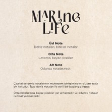 Carpex Marine Life Auramax Koku Kartuşu 250 ml