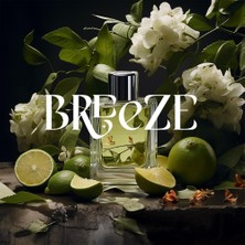 Breeze Auramax Koku Kartuşu 250 ML