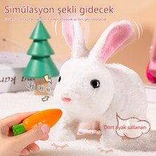 Love Home Çocuk Elektrikli Simülasyon Tavşan Peluş Oyuncak Kız Evcil Hayvan Beyaz Tavşan Bebek Bebek Kız Doğum Günü Hediyesi Besleme Şarj 10 Parça Set (Yurt Dışından)