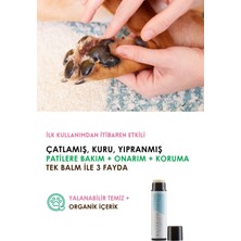 Botanivo Köpekler İçin Organik İçerikli Pati Bakım + Onarım + Koruma Balmı 5 ml Stick