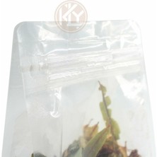 Kolay Ambalaj Şeffaf Flat Bottom Kilitli Torba 16 x 32,5+5 cm 1000  gr 100 Adet