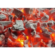 Teknogrıll BBQ Mangal Kömürü 1 kg