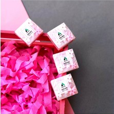 Adel 4 Adet Sakura Silgi Pembe Renkli Kırtasiye Ürünü Estetik Tasarımı