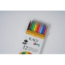 Kaly 12 Renk Tam Boy Kuru Boya Seti 12 Parça Renkli Kalemler İçin Şık Tasarım