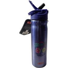 Globox Mor Desenli Çelik Matara 500 ml 1140