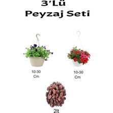 Serada Decor Plant 3'lü Peyzaj Seti Mor+ Kırmızı Petunya Çiçeği Curf