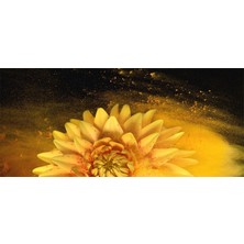 Colorix Carpet Mouse Pad Oyuncu Büyük Boy Xl 40X90 cm No: 2127