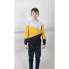 Alexander Gardi Desenli Çocuk Triko KAZAK(C22-18937 10)