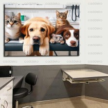 Caddeko Pet Center Dekorasyon Veteriner Kliniği Tabloları VTR29