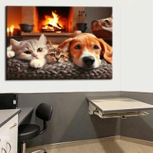 Caddeko Pet Center Dekorasyon Veteriner Kliniği Tabloları VTR23