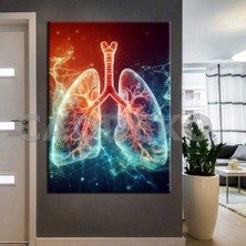 Caddeko Poliklinik Klinik Hastane Dekorasyonu Medikal Hastane Tabloları HST138