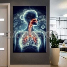 Caddeko Poliklinik Klinik Hastane Dekorasyonu Medikal Hastane Tabloları HST148