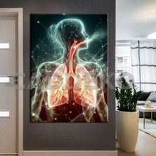Caddeko Poliklinik Klinik Hastane Dekorasyonu Medikal Hastane Tabloları HST146