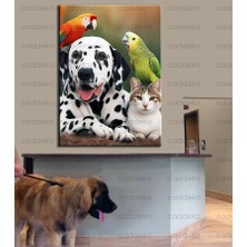 Caddeko Pet Center Dekorasyon Veteriner Kliniği Tabloları VTR28
