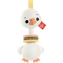 HRB19 Fisher-Price Sensimals Dişlik Seti