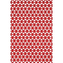 Edükkanım Kaydırmaz Kırmızı Yıldız Paspas EN:120CM 120 x 50