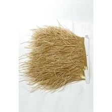 Bal Rengi Deve Kuşu Tüyü 1 mt