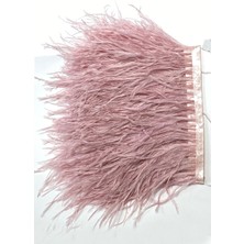 Koyu Pudra Deve Kuşu Tüyü 1 mt