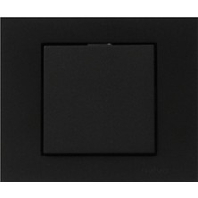 Ovivo Grano Siyah Anahtar