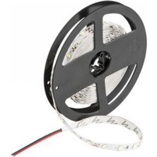 Cata CT-4481 Iç Mekan 10çip Gün Işığı LED Şerit Aydınlatma Aksesuarı 5 Metre Uzunlukta