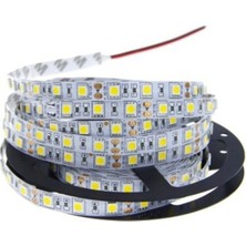 Cata Şerit LED Beyaz Renk CT-4480