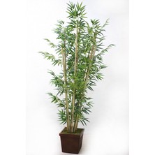 Yapay Çiçek Deposu Bambu Ağacı 8 Gövde 180 Cm(1.sınıf Yaprak)
