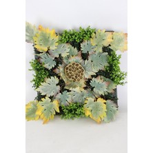 Yapay Çiçek Deposu Yapay Dikey Bitki Hazır Duvar Paneli 55 cm x 55 cm Model 15