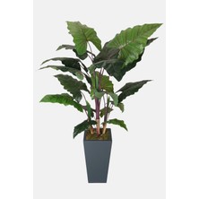 Yapay Çiçek Deposu Yapay Iri Yapraklı Alocasia Bitkisi 190 cm