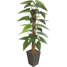 Yapay Çiçek Deposu 36 Yapraklı Yapay Giganteum Sekoya Ağacı 190 cm Yeşil (Ahşap Siyah Gold-Saksıda)