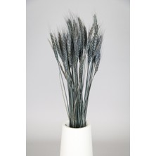 Yapay Çiçek Deposu Şoklanmış Başak Demeti Antrasit Mavi