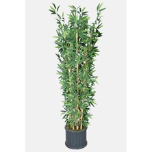 Yapay Çiçek Deposu Oval Çıtalı Saksıda Yapay Bambu Ağacı 8 Çubuklu 180 cm