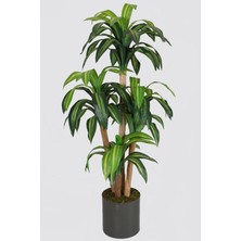 Yapay Çiçek Deposu Metal Saksıda Yapay 4 Gövdeli Massengena Ağacı 170 cm Yeşil-Sarı