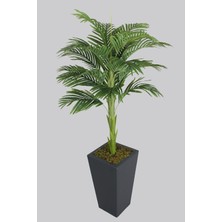 Yapay Çiçek Deposu Ahşap Saksıda Tek Gövdeli Yapay Areka Palmiye Ağacı 180 cm (16 Yapraklı)