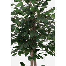 Yapay Çiçek Deposu Benjamin Ağacı 120 cm Extra Yoğun Yaprak (Ahşap Saksılı)