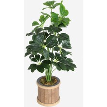 Yapay Çiçek Deposu Silindir Ahşap Saksıda Yapay 18 Dallı Şeflera 75 cm