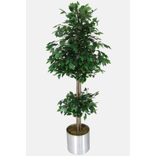 Yapay Çiçek Deposu Gri Metal Saksıda Yapay Benjamin Ağacı (Ficus Benjamina) 180 cm Yeşil