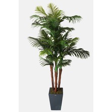 Yapay Çiçek Deposu 4 Gövdeli Yapay Areka Palmiyesi 220 cm